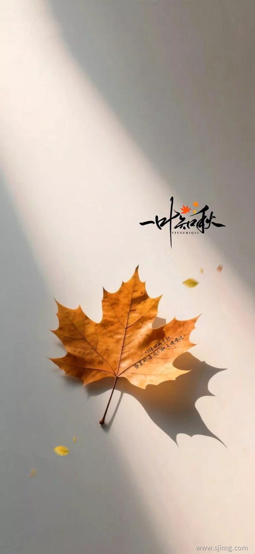 4K高清励志发财手机平板壁纸🏎