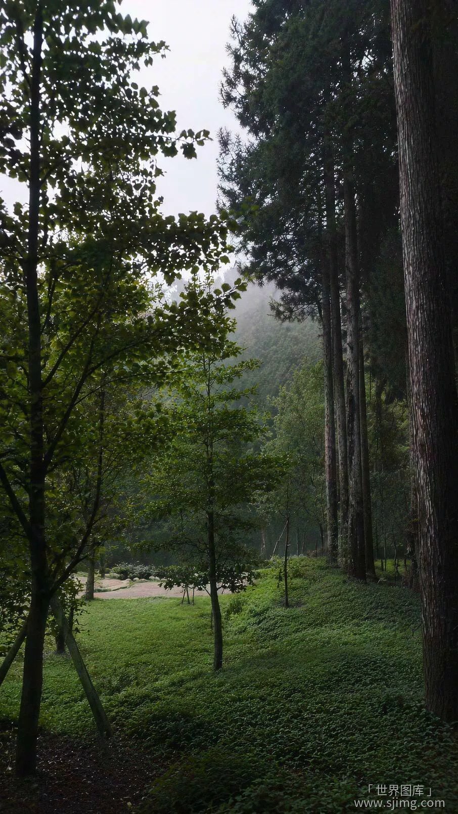 高清山林风景 4K高清手机壁纸