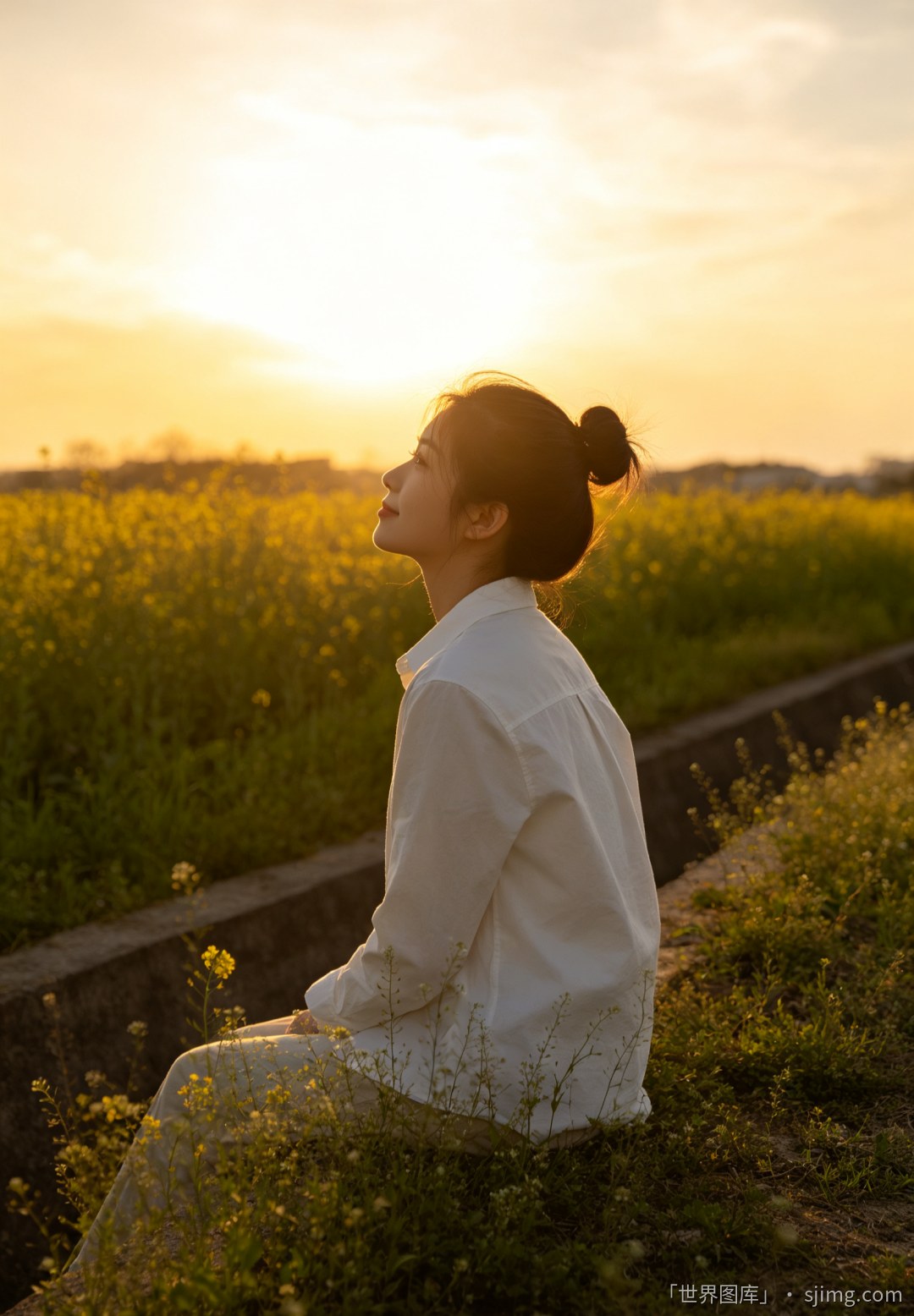 夕阳下的油花菜